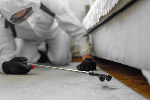 Professional Bed Bug Control technician working in Mason City, IL