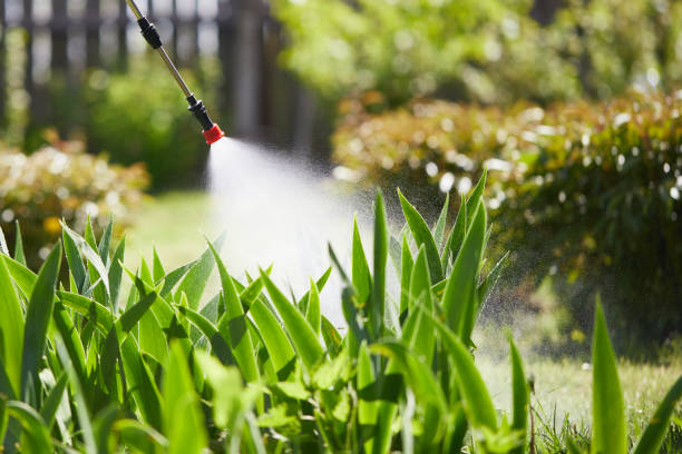 24/7 Emergency Bed Bug Control experts in Mason City, IL