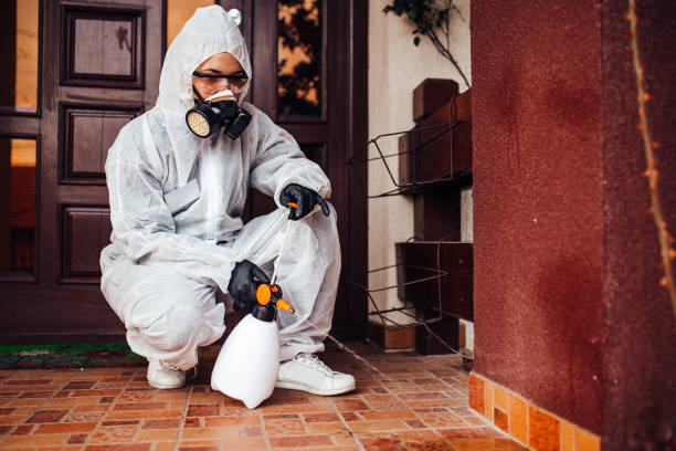 Reliable Bed Bug Control contractor in Mason City, IL by Nex Pest Control