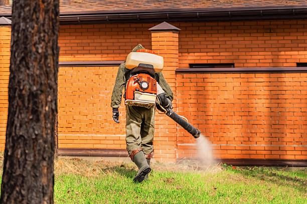 Trusted Mosquito Control service in Mason City, IL - Nex Pest Control